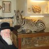 Brooklyn's Bizarre Biblical Animal Museum Is Closing